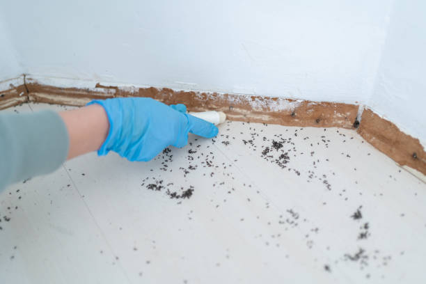 Best Residential Pest Control  in Lake Linden, MI